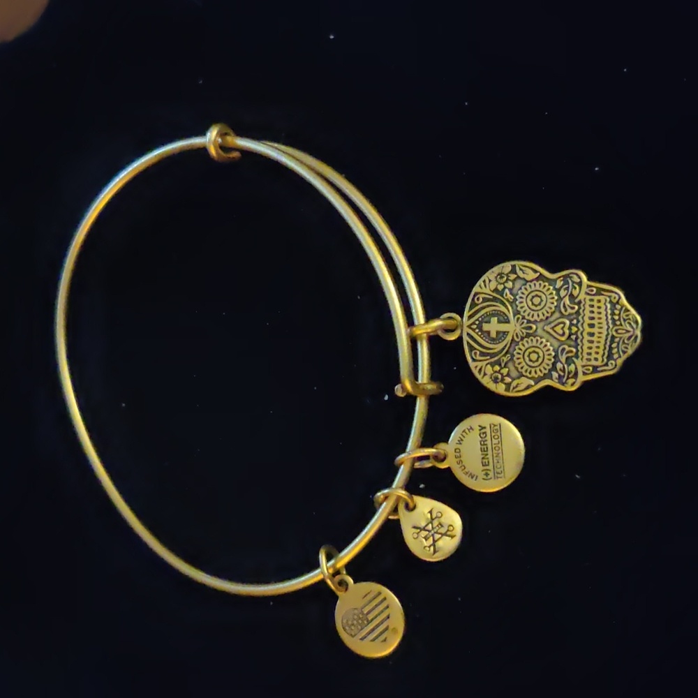 Alex and Ani Women's Gold Tone Bracelet - Calavera Charm